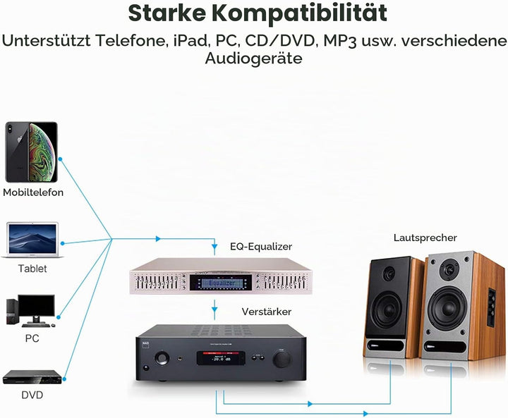 Toplionace 220V HIFI Digital HD Stereo Equalizer, EQ898 Vorverstärker Equalizer Eingebauter USB Blue