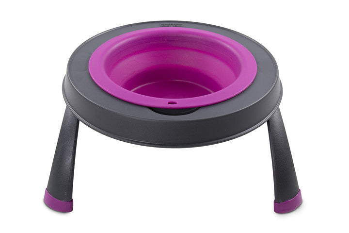 Dexas Pets Futternapf, erhöht, für 4 Tassen, Fuchsia, gross Large/4 Cup Capacity Fuchsia, Large/4 Cu
