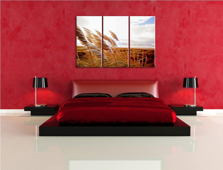 Schönes Schilf in den Dünen Spezial 3-Teiler Leinwandbild 120x80 Bild auf Leinwand, XXL riesige Bild