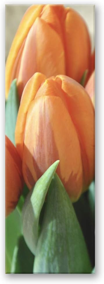 Feeby Bild auf Leinwand abstrakt Kunstdruck modern Tulpen Orange 30x90 cm Leinwandbild 30x90 cm Oran