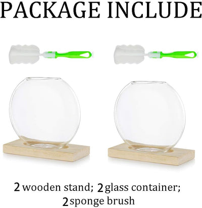 Tischplatte hängen Glas Pflanzer Pcs von 2 Vermehrungsstation Moderne Blumenknospe Vase in Holz Steh