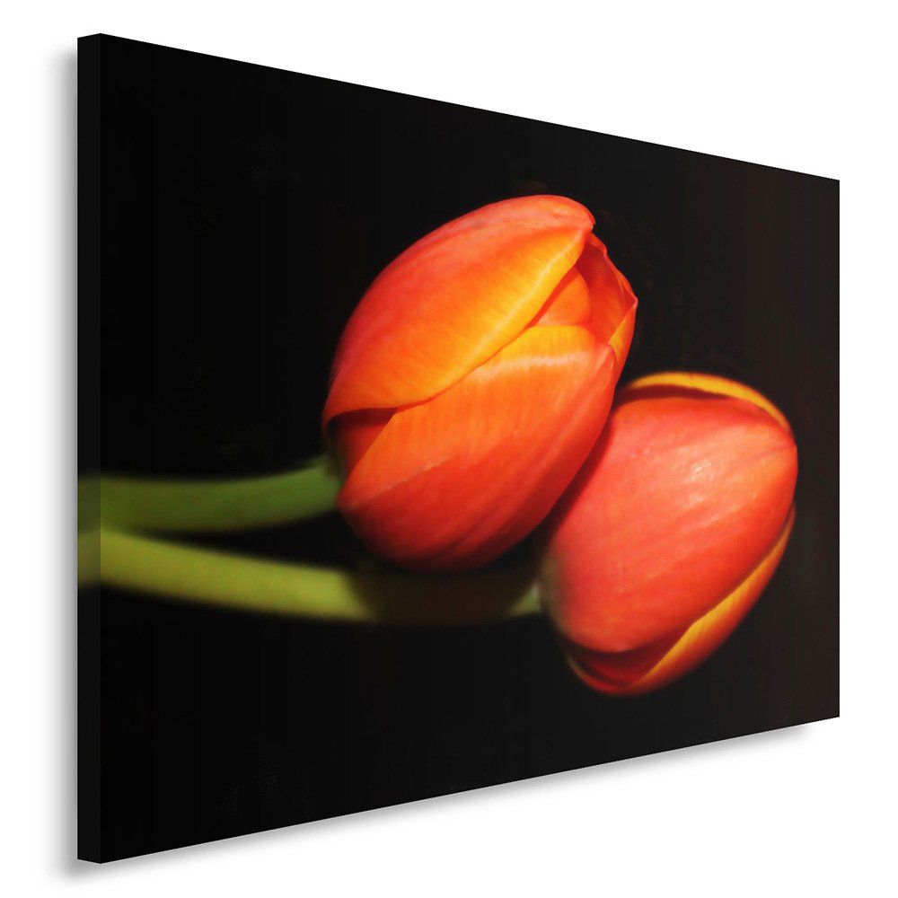 Feeby Frames. Wandbild - 1 Teilig - 80x120 cm, Leinwand Bild Leinwandbilder Bilder Wandbilder Kunstd