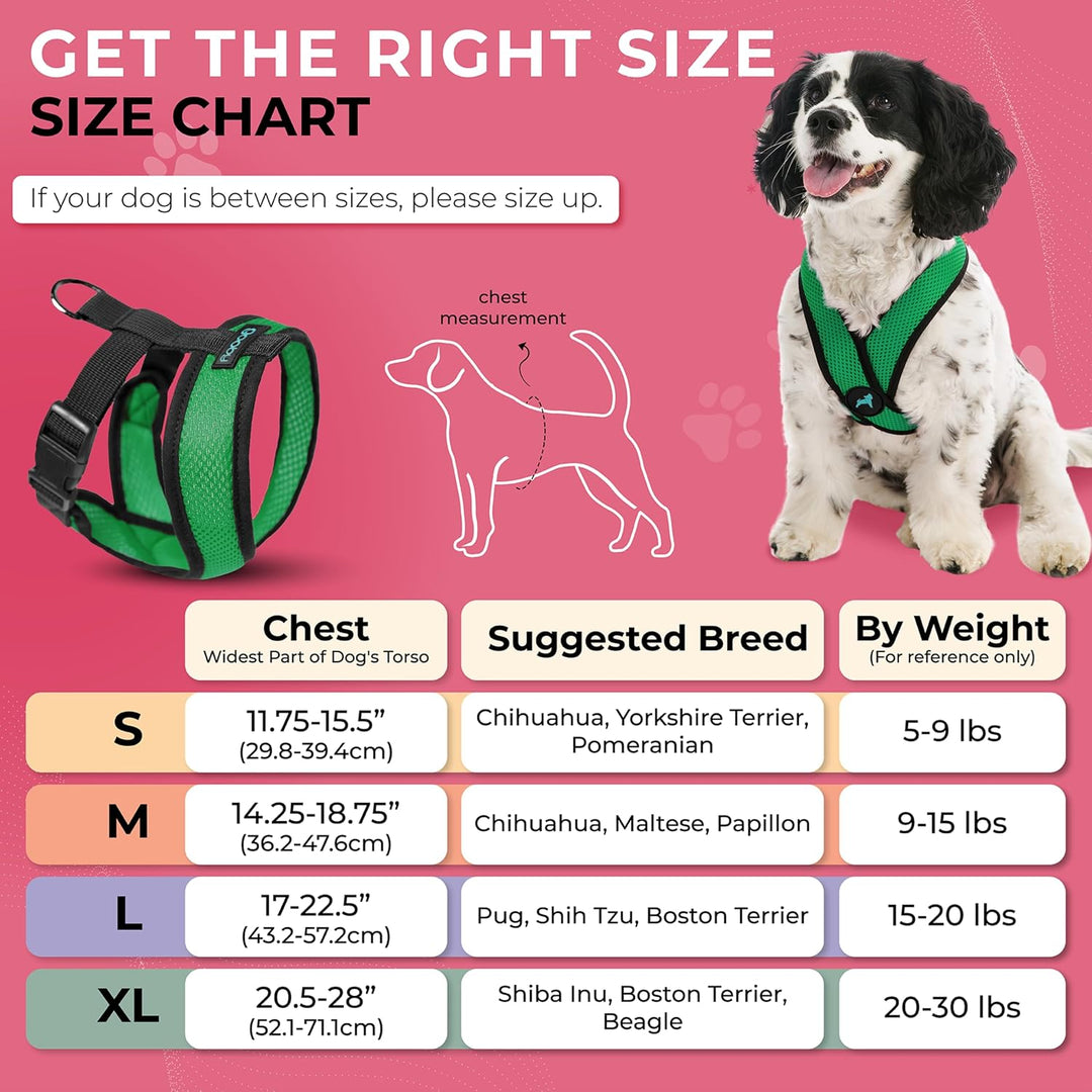 Gooby Comfort X Head in Harness,No Pull Small Dog Harness Patentierter Würgefreier X Rahmen,Unterweg