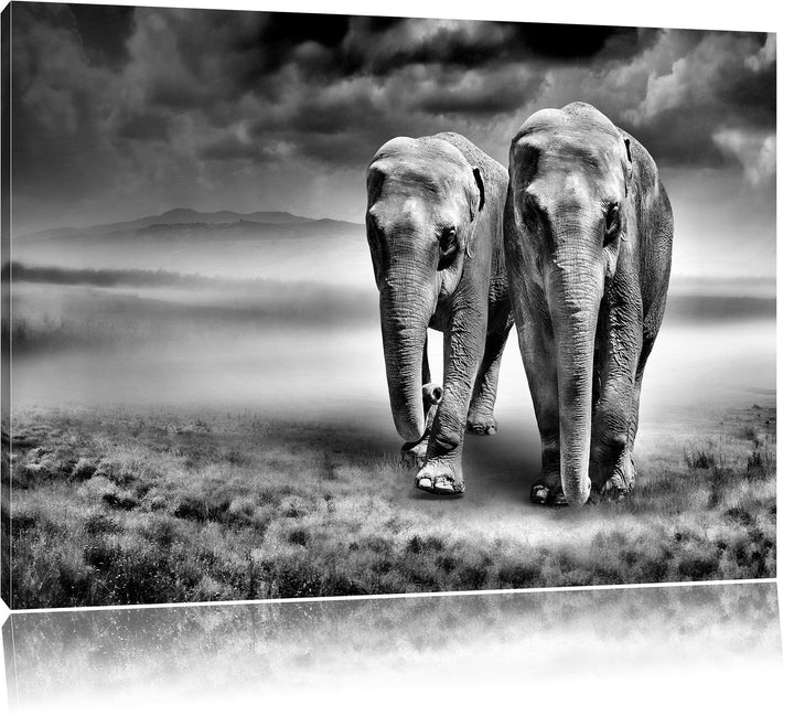 Pixxprint Elefanten in Steppe als Leinwandbild/Grösse: 100x70 / Wandbild/Kunstdruck/fertig bespannt,