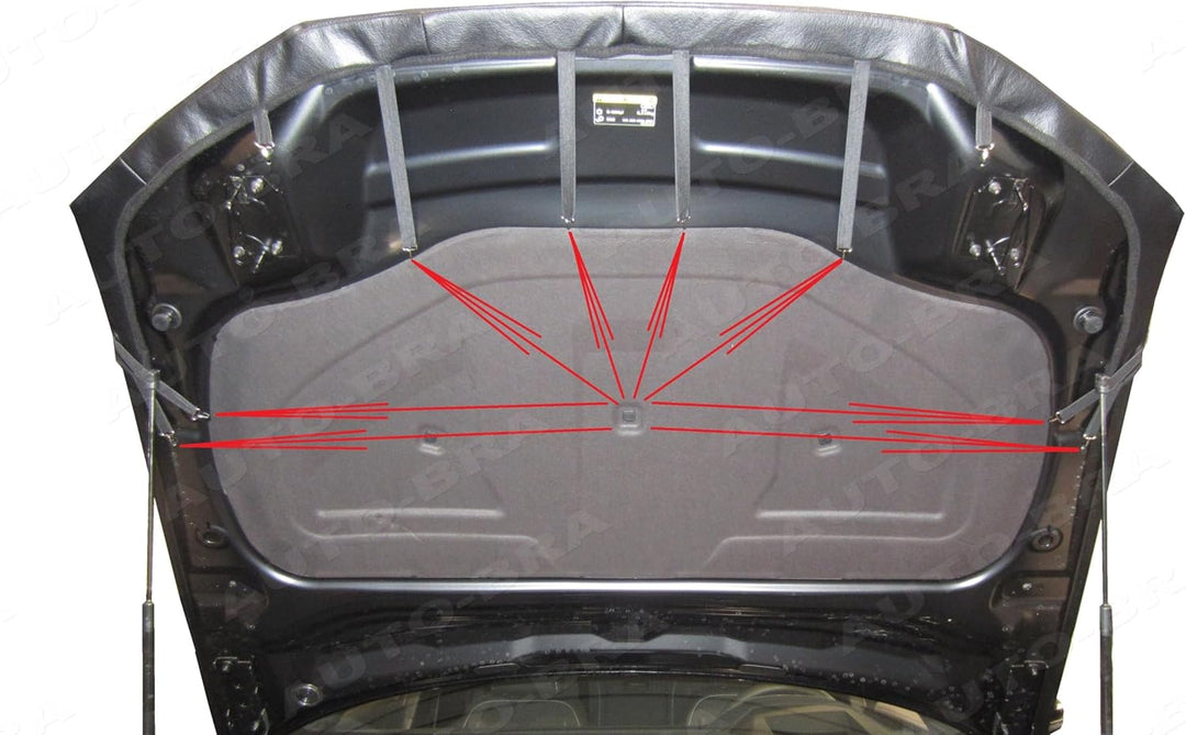 AB3-00260 CARBON OPTIK Auto Bra kompatibel mit Audi S6 A6 C8 Bj. seit 2018 Haubenbra Steinschlagschu