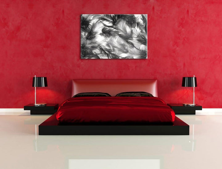 Pixxprint Anordnung von Federn als Leinwandbild/Grösse: 100x70 cm/Wandbild/Kunstdruck/fertig bespann