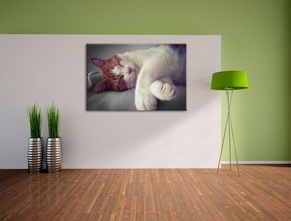 schlafende Katze auf Decke schwarz/weiss Format: 100x70 auf Leinwand, XXL riesige Bilder fertig gera