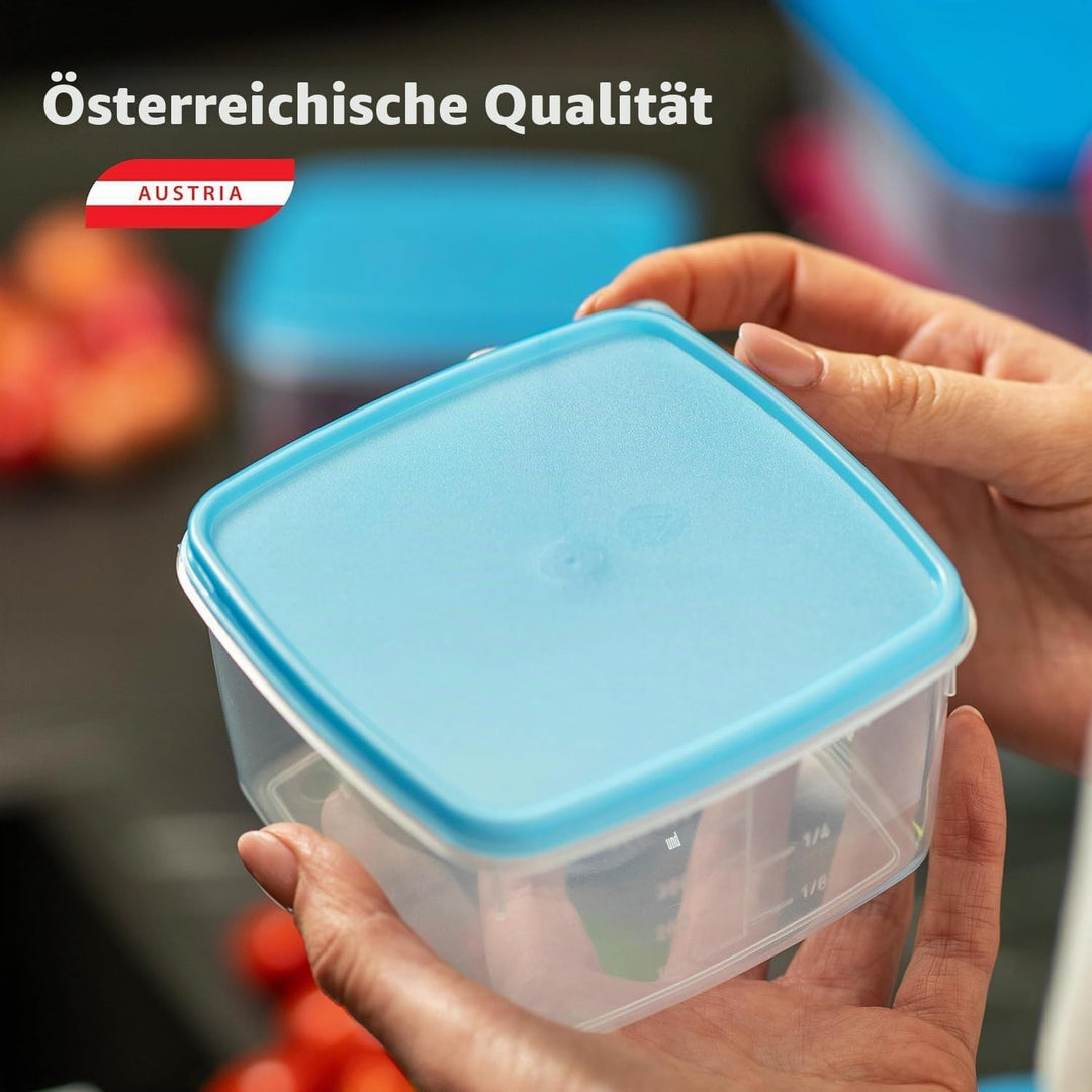 MiraHome Gefrierdosen Set 15x0,125L Rechteckig Durchsichtig Blau – Perfekt in der Küche zur Aufbewah