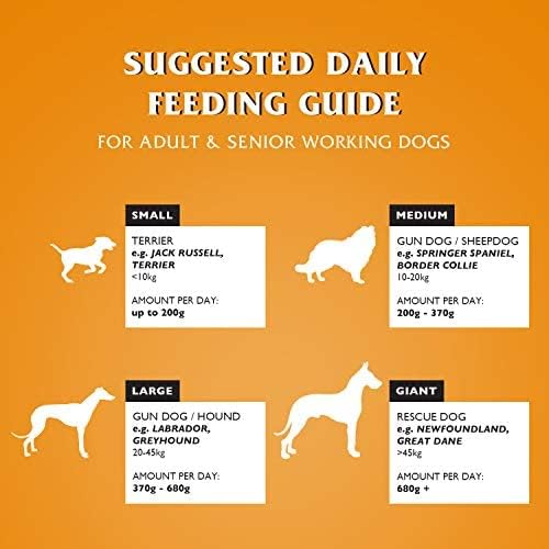 Complete Hund Food - 15k Dr John Gold Medal