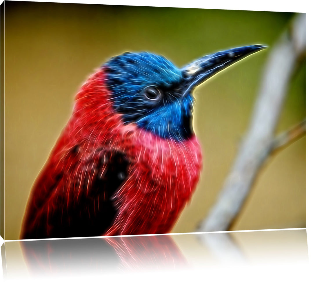 kleiner tropischer Vogel Deluxe Format: 100x70 cm auf Leinwand, XXL riesige Bilder fertig gerahmt mi