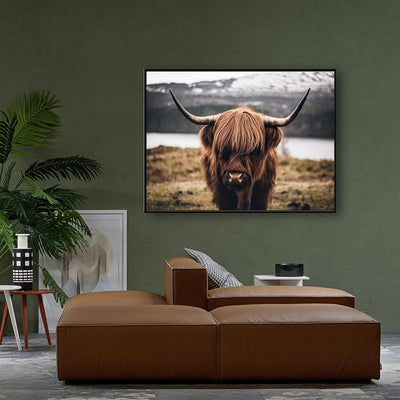 Hochlandrind Bild Leinwanddrucke,Nordic Highland Cow Bilder Druck auf Leinwand Schottisches Hochland