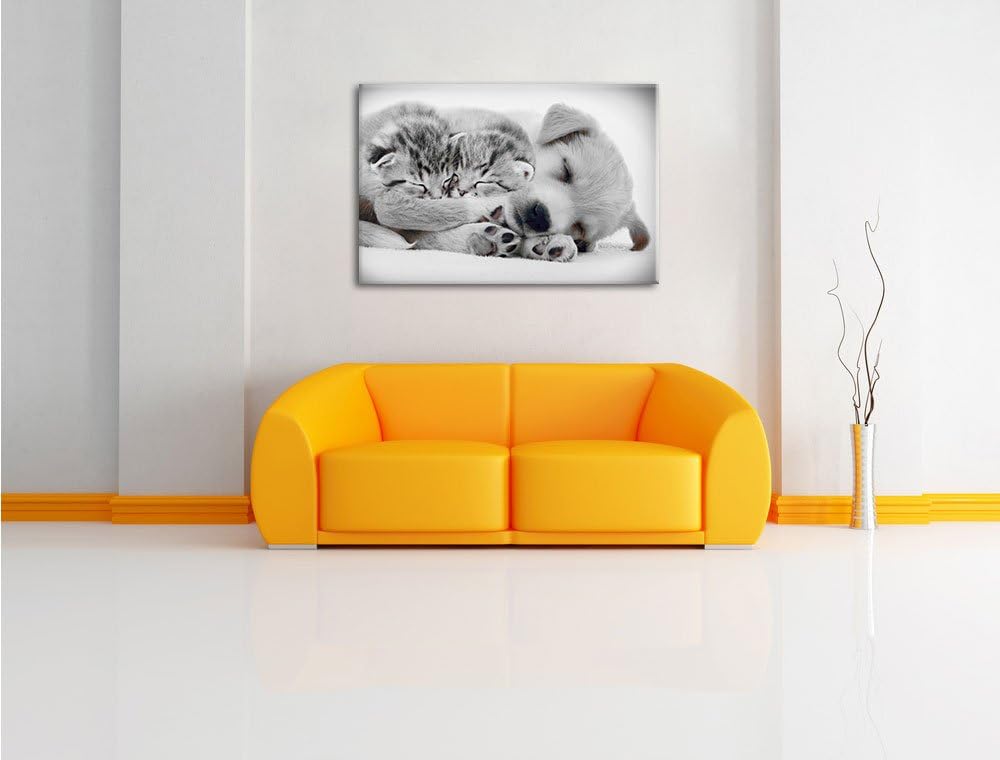 Pixxprint Hundewelpe mit kleinen Kätzchen als Leinwandbild/Grösse: 100x70 / Wandbild/Kunstdruck/fert