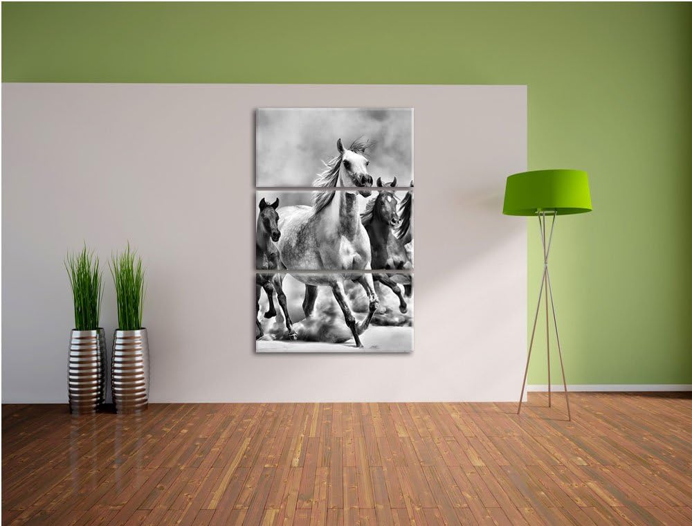 Pixxprint Western Pferde Fohlen / 3-Teilig/Gesamtmass 120cm Leinwandbild bespannt auf Holzrahmen/Wan