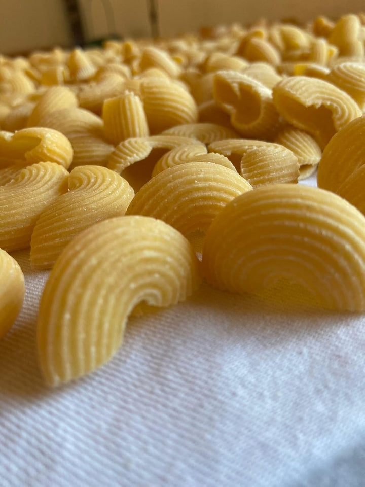 MY PASTA - Orecchiette Sugo - Pastamaker Matrizen Pastadisc Avance Matrize für hausgemachte Pasta, K