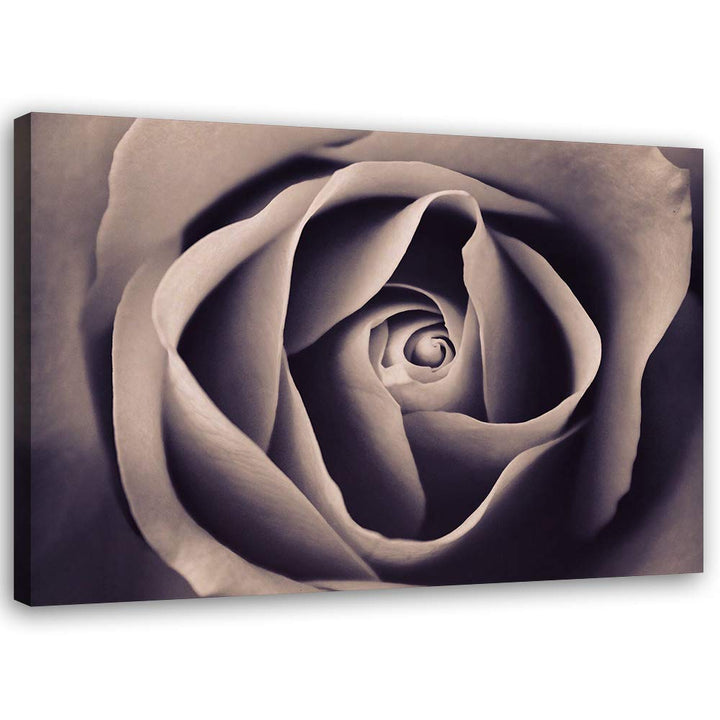 Feeby Bild auf Leinwand Blumen Rosen XXL 90x60 cm 1Teilig Wohnzimmer Schlafzimmer Modern Bilder Wand