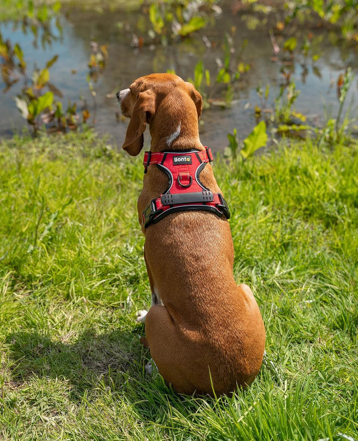 lionto Hundegeschirr gepolstert aus weichem Nylon, Grösse M, reflektierendes Anti Zug Geschirr für H