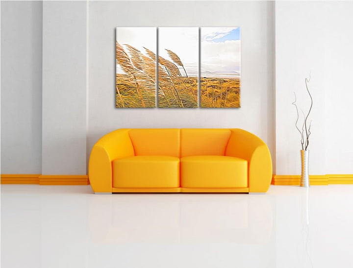 Schönes Schilf in den Dünen Spezial 3-Teiler Leinwandbild 120x80 Bild auf Leinwand, XXL riesige Bild