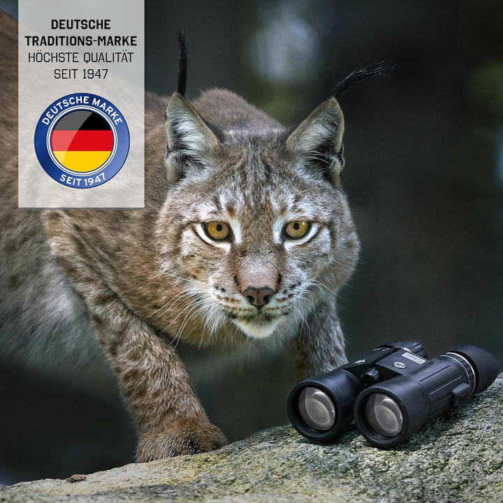 STEINER Fernglas Wildlife 8x24 - Deutsche Qualitätsoptik, Scharfe Und Kontrastreiche Bilder, kompakt