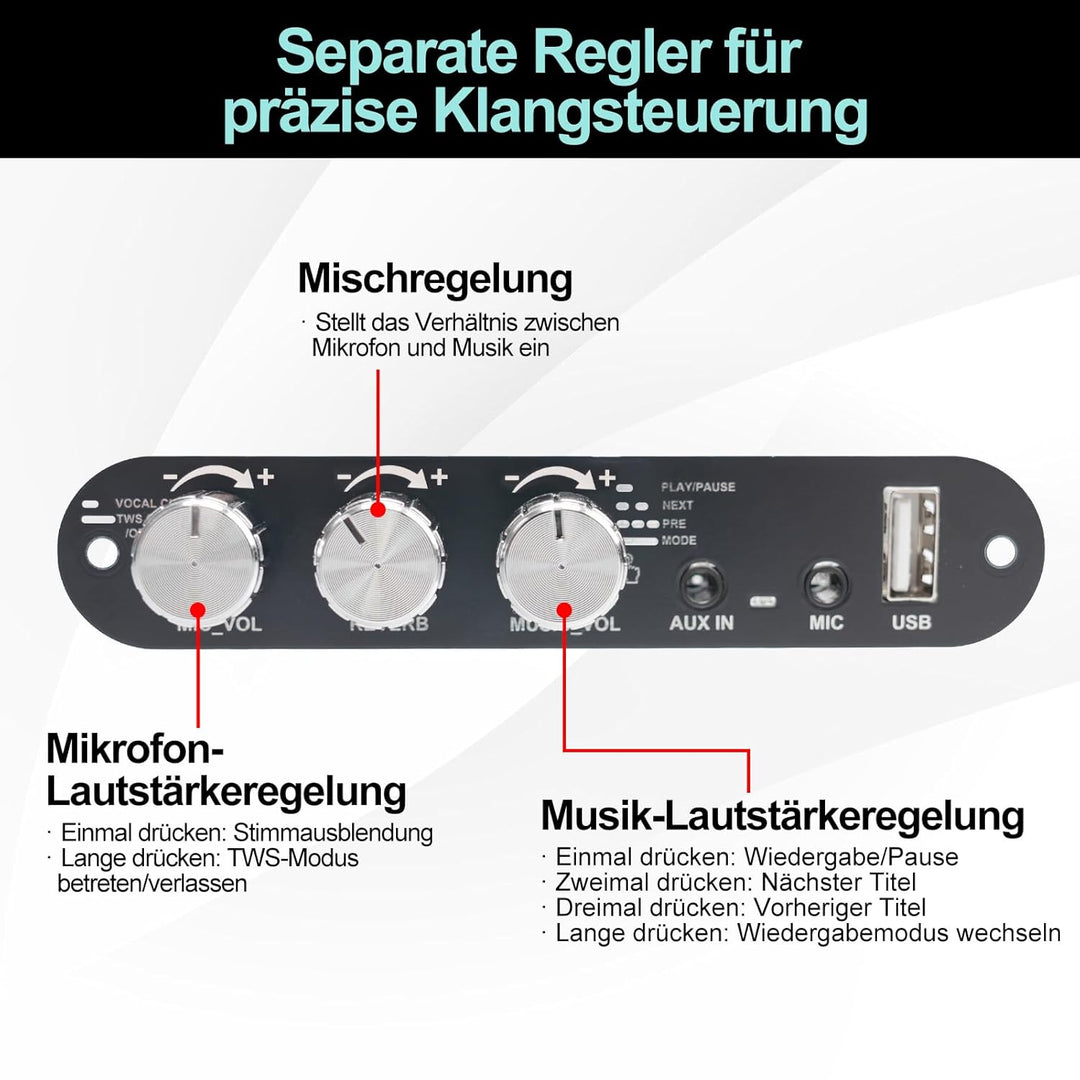 Bluetooth 5.3 Mono Verstärker Board Modul, 100W Audioverstärker mit Echo & EQ-Regelung, TWS-Pairing