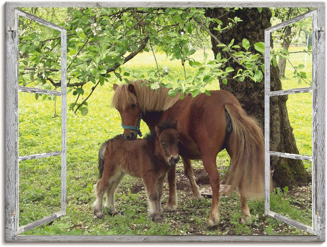ARTland Leinwandbilder Wandbild Bild auf Leinwand 60x45 cm Wanddeko Fensterblick Fenster Pferd Pony