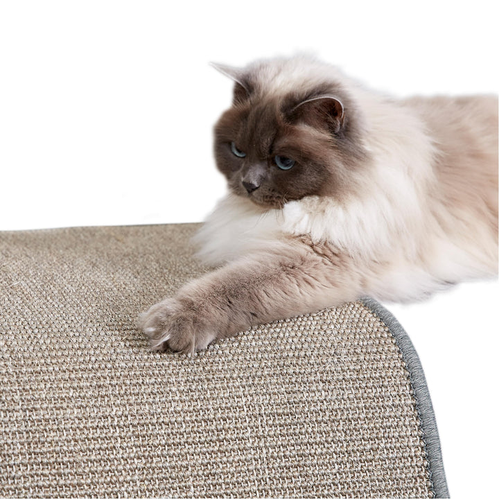 Kratzmatte für Katzen - Fussmatte Sisal Kratzteppich - natürliche Sisalmatte robust - Vorleger aus 1