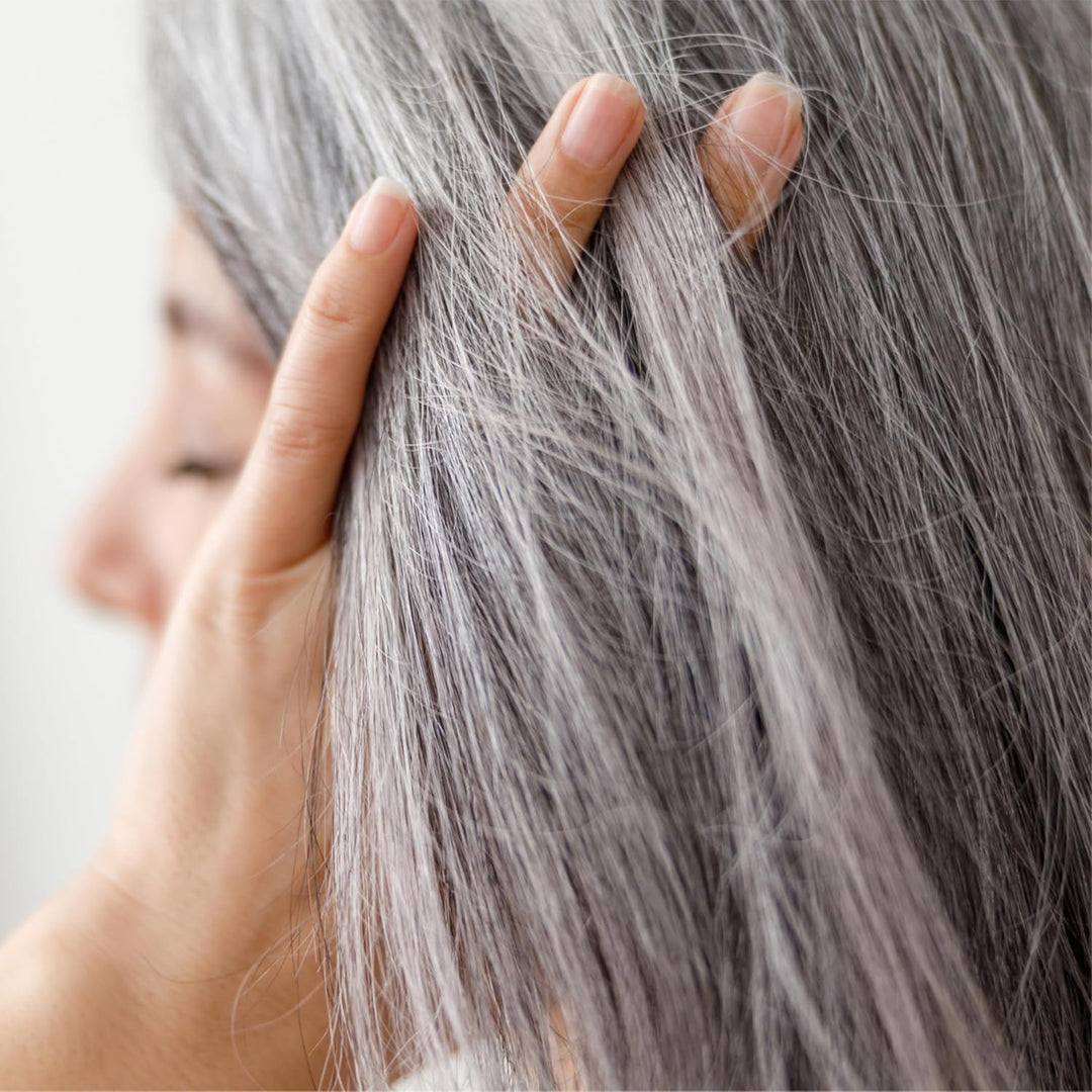 SANTE Naturkosmetik 100% Pflanzenhaarfarbe Pulver 08 Maronenbraun, vegane Haar-Coloration mit Henna