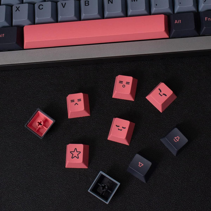 Double Shot Keycaps 173 Tasten Cherry Profil Keycaps Set Fit für 61/64/87/96/100/104/108 Cherry Mx S