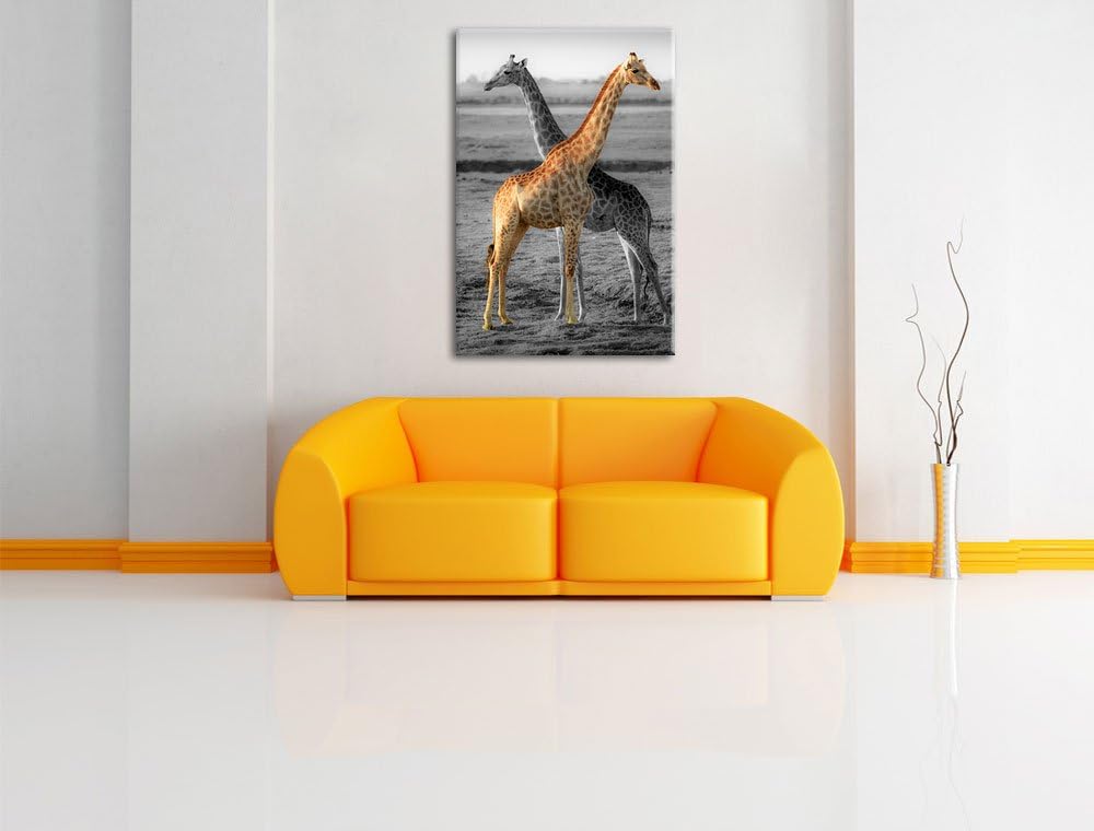 schöne Giraffen in der Steppe schwarz/weiss Format: 100x70 auf Leinwand, XXL riesige Bilder fertig g