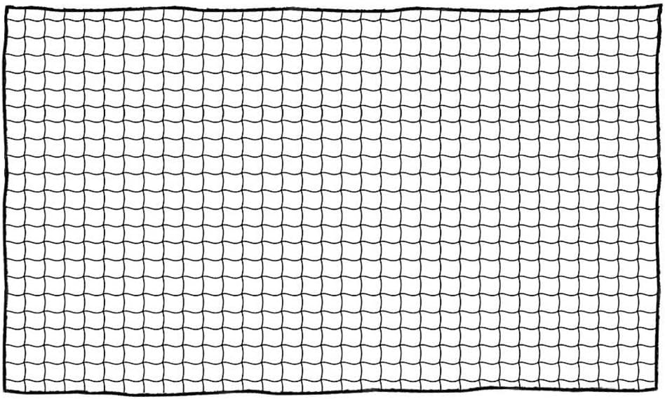 Aoneky Fussball Backstop Netz 3x3M/ 3x6M | quadratisches Netz 10x10cm No Knot | Fussball-Containment