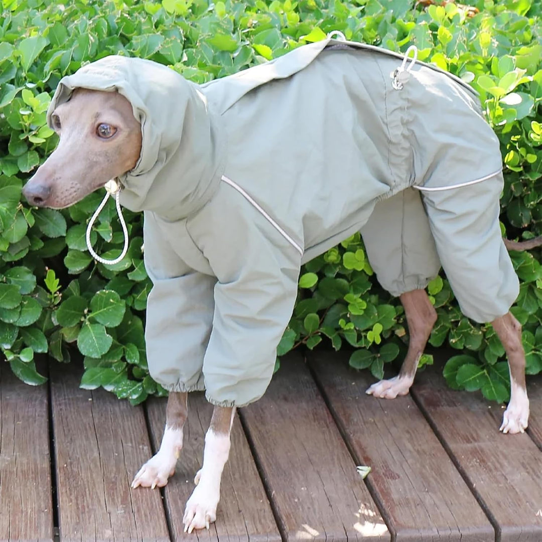 Italienische Greyhound wasserdichte Jacke, Winddichte Hundemantel Jumpsuit Mit Reissverschluss Leich