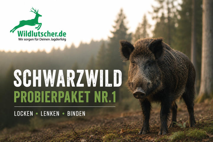 Wildlutscher Lockmittel Probierpaket Schwarzwild Nr1