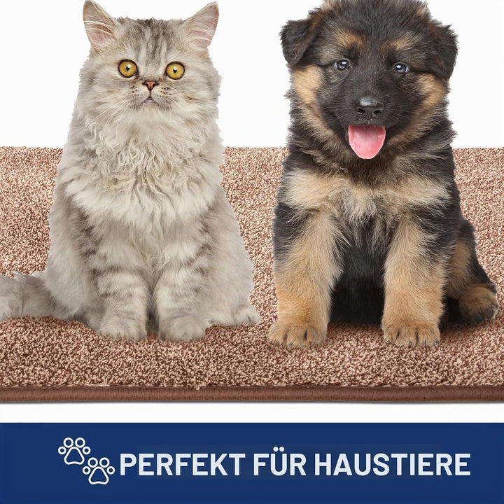 FCSDETAIL Schmutzfangmatte Innen Lang 80 x 178 cm, rutschfeste waschbare Fussmatte, absorbierend Tür