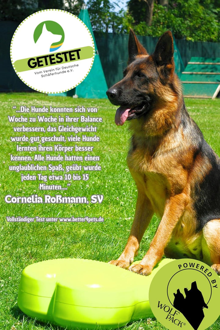 Giant Fitness Dog Bone für Grosse Hunde Balance/Kraftstation/Trainingsgerät/FITBONE/Agility/XXL/hund