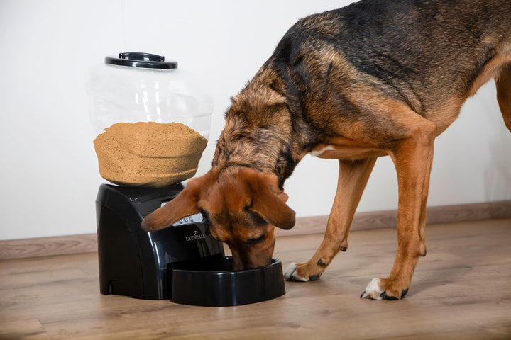 EYENIMAL NGDISCRO003 Eletronic Pet Feeder, 1440 g