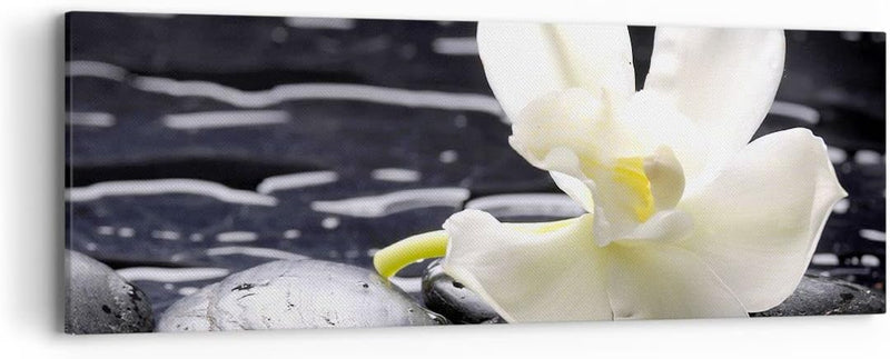 Panorama Bilder auf Leinwand Spa Orchidee Steine Wasser Leinwandbild 90x30cm Wandbilder Dekoration W