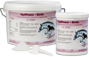 EquiPower Biotin 2kg