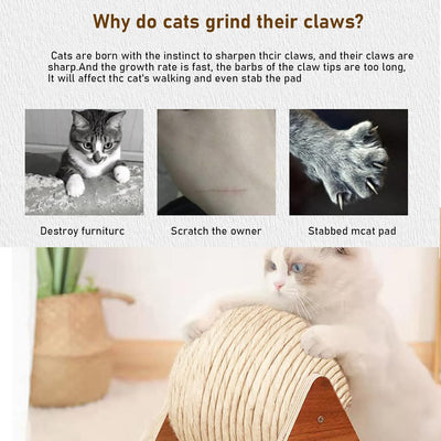GDWD Katzenspielzeug Ball Sisal, Kratzspielzeug Katze, Sisalball Gross, Kratzball für Katzen (Mittel