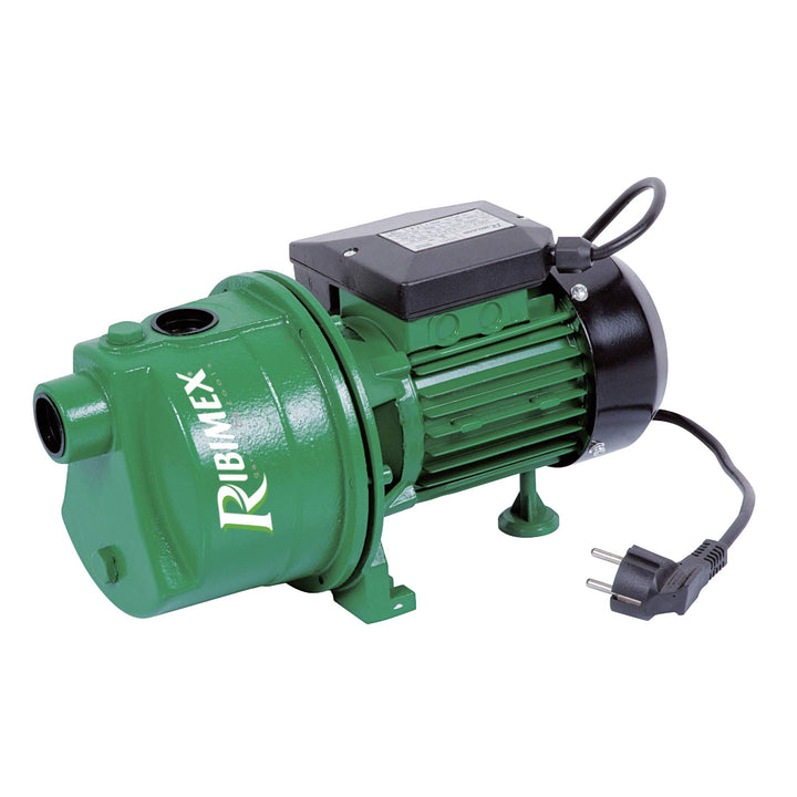 RIBILAND 04201 Wasserpumpe-Oberfläche Grün 1180 W