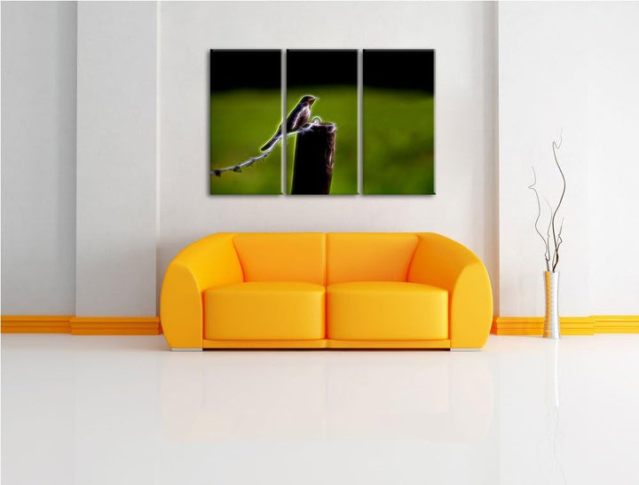 Dark junge Rauchschwalbe auf Stacheldraht NewArt 3-Teiler Leinwandbild 120x80 Bild auf Leinwand, XXL