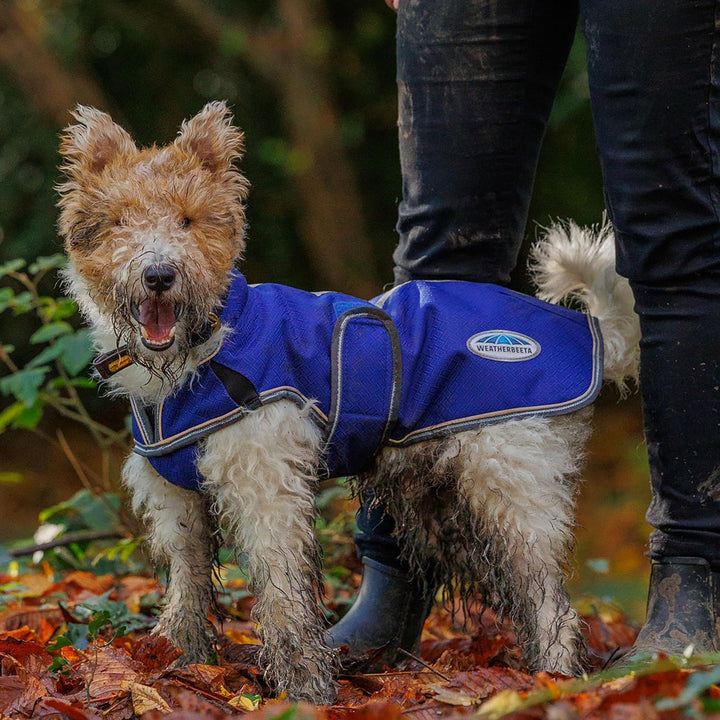 Weatherbeeta - Hund Comfitec Premier Kostenlos Parka Delux Hundemantel - Dunkelblau/Grau/Weiss 30cm,