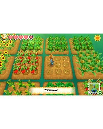Story of Seasons - [3DS]