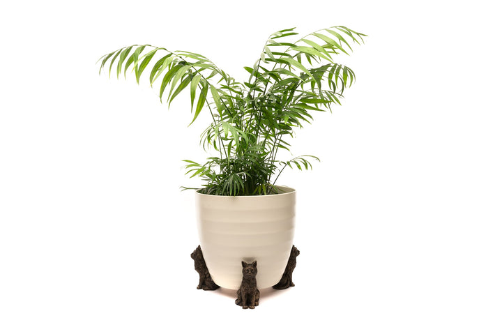 Potty Feet Kübelfüsse Katze 3er-Set Sitzende Katze, Sitzende Katze