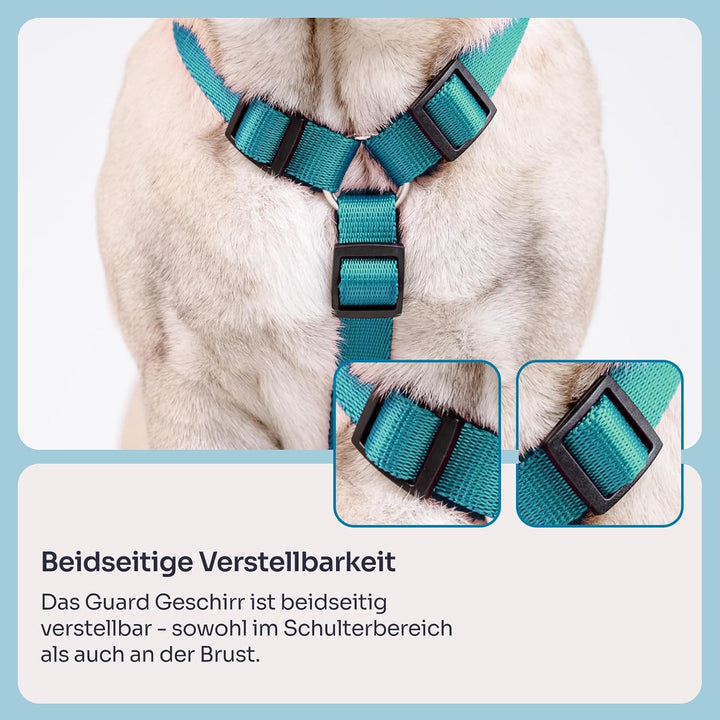 Chaba Guard Hundegeschirr für kleine und mittelgrosse Hunde mit Kontrolle, Anti-Zug &amp; Würgen, Verste