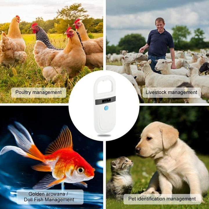 Haustier ID Chip Lesegerät, Hund Microchip Scanner Pet Reader USB Wiederaufladbarer Chipleser Katzen