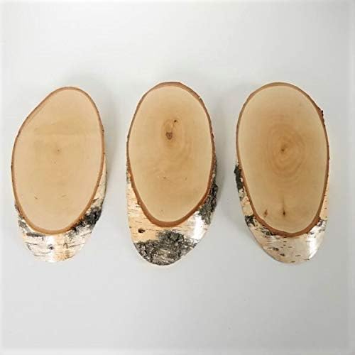 3 Stück Birke Schilder Trophäenschilder REH Rehbock Geweih Baumscheibe Baumschild Natur Holz modern