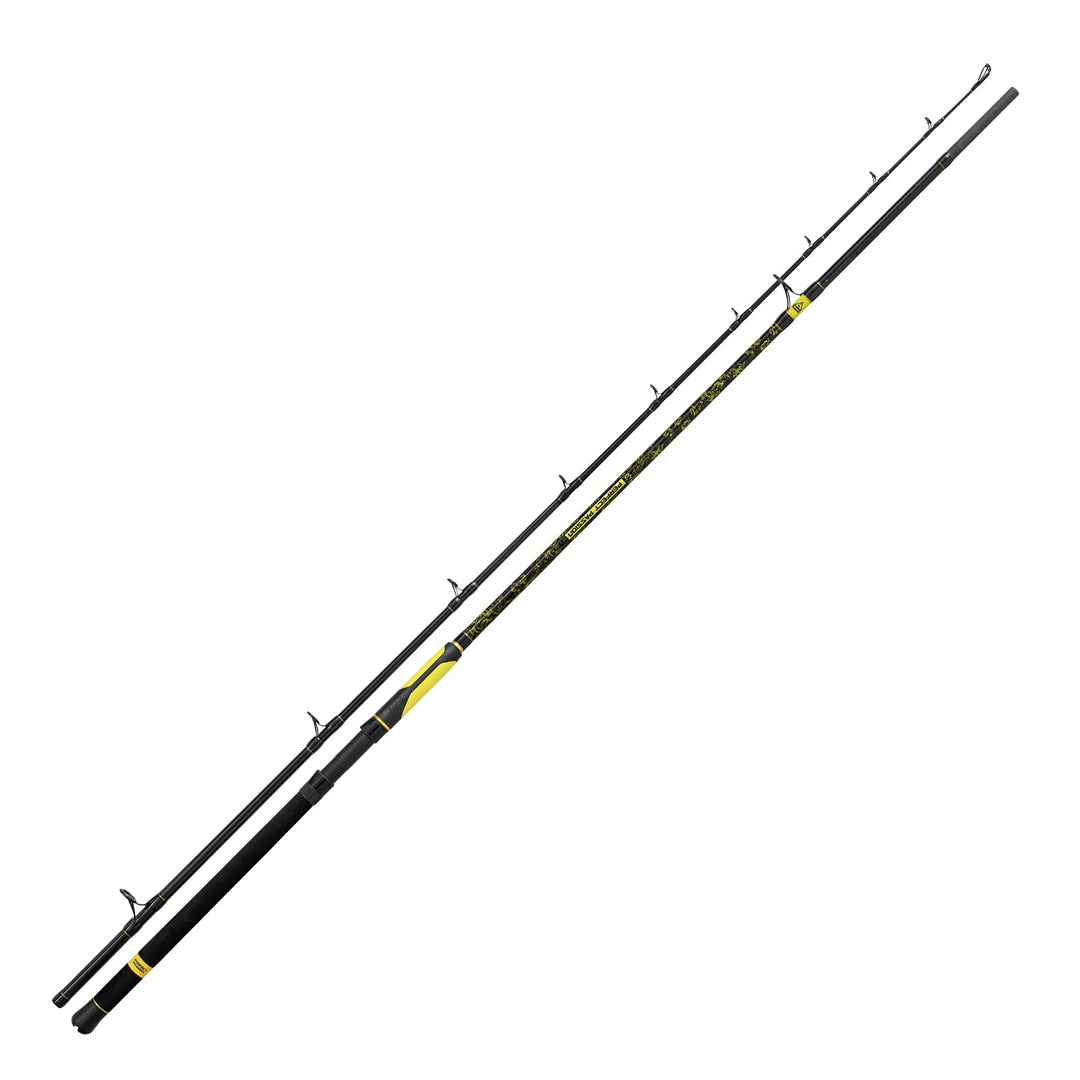 Black Cat Premium Welsrute Perfect Passion XH-S Angelrute vielseitig Einsetzbar mit IM6 Blank Wels A
