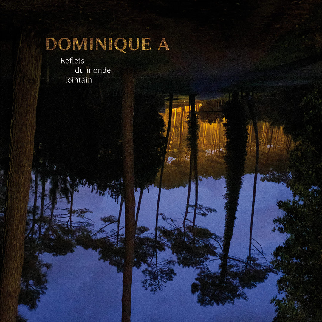Reflets du Monde Lointain, Vinyl