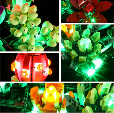 GEAMENT LED Licht-Set Kompatibel mit Lego Sukkulenten (Succulents) - Beleuchtungsset für Creator 103