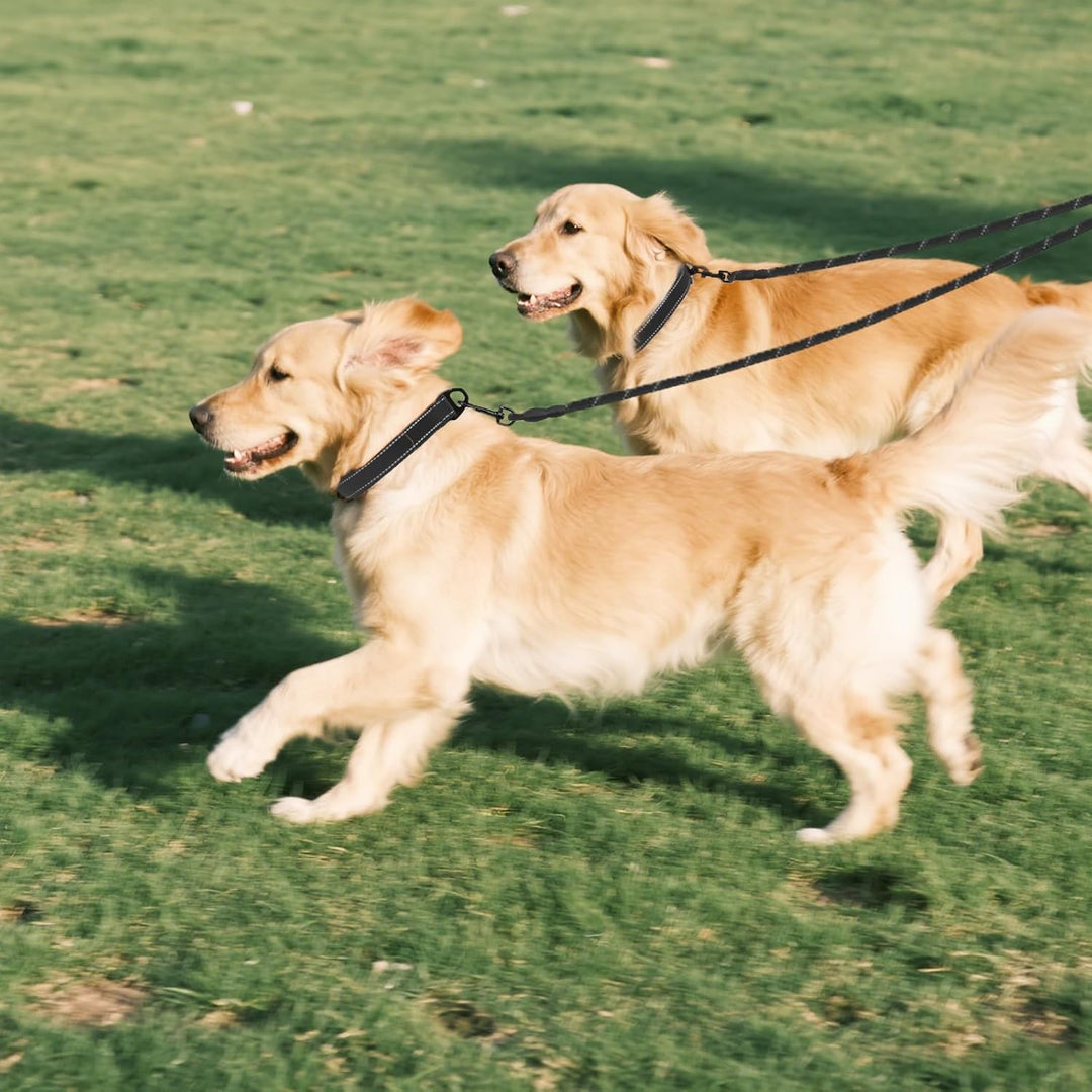 Taglory Doppelte Leinen/Hundeleine Doppelleine für 2 Hunde/Keine Verwicklung Reflektierend Kletterse