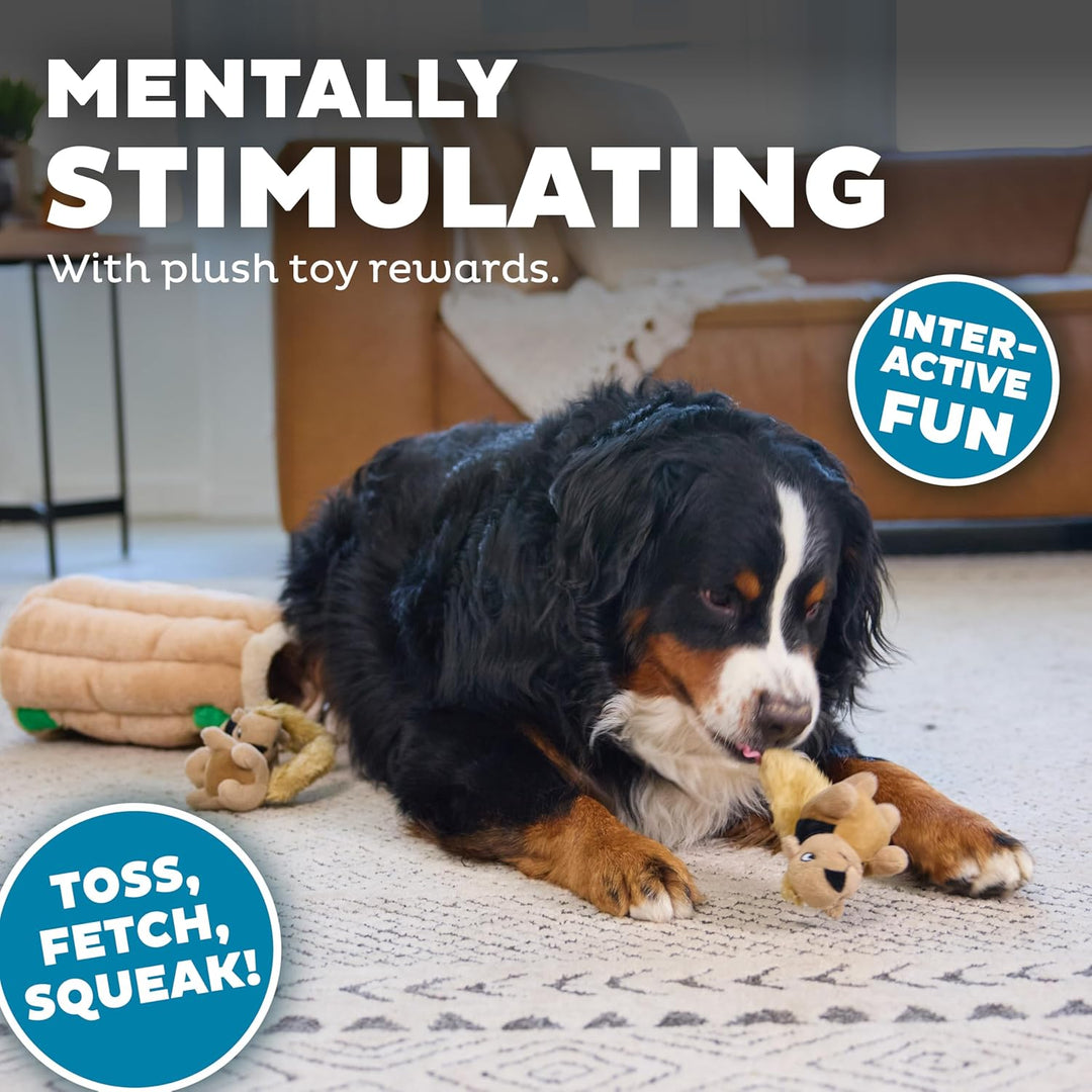 Outward Hound Plüsch-Hundespielzeug Hide A Squirrel, XL XL (1er Pack), XL (1er Pack)